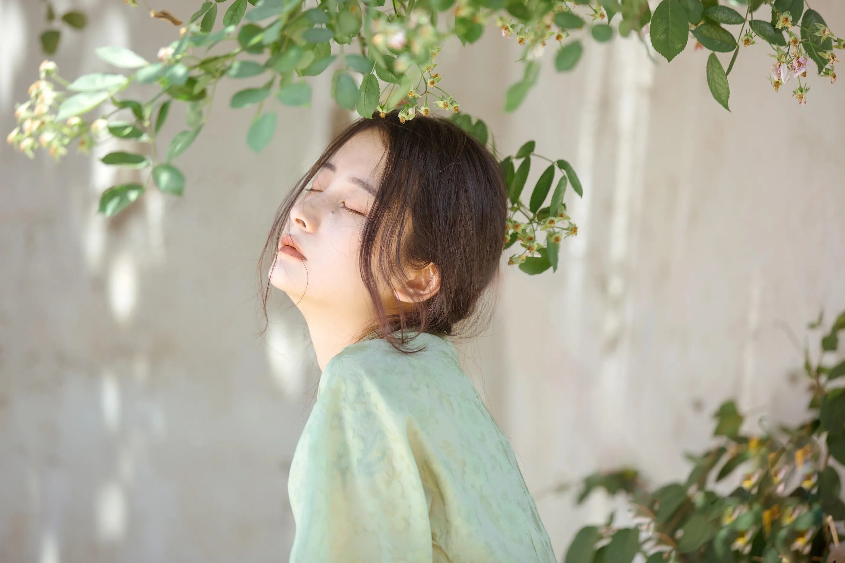 [艺图语] 2022.06.27 总有人间一两风 五月的三花猫 [24P]插图8